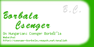 borbala csenger business card